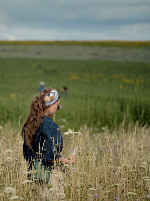 In a wildflower meadow.